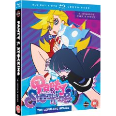 Panty And Stocking With Garter Belt